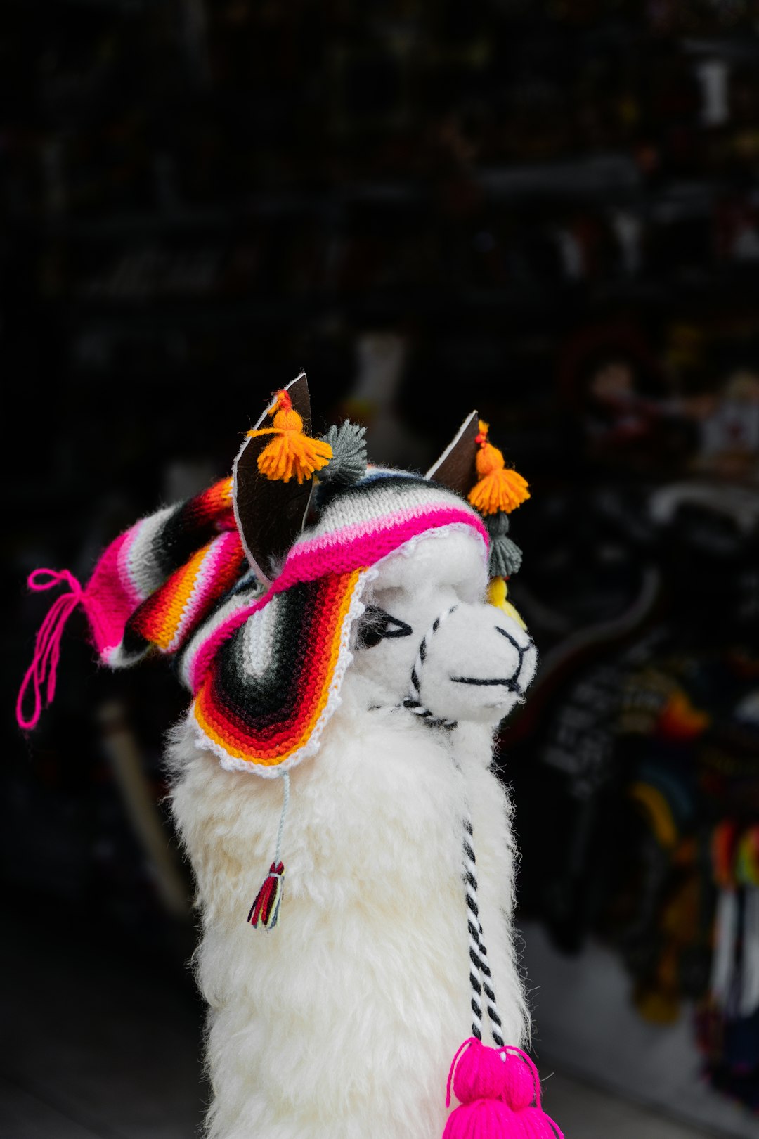 services-02 a-llama-wears-a-colorful-knitted-hat-and-tassels-pxfxjqvt25c